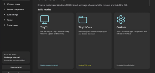 Tiny11 Builder GUI interface for creating custom debloated Windows 11 ISO images